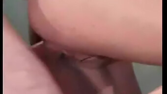 Seks Anal Dan Vagina Yang Intens Dengan Brunette